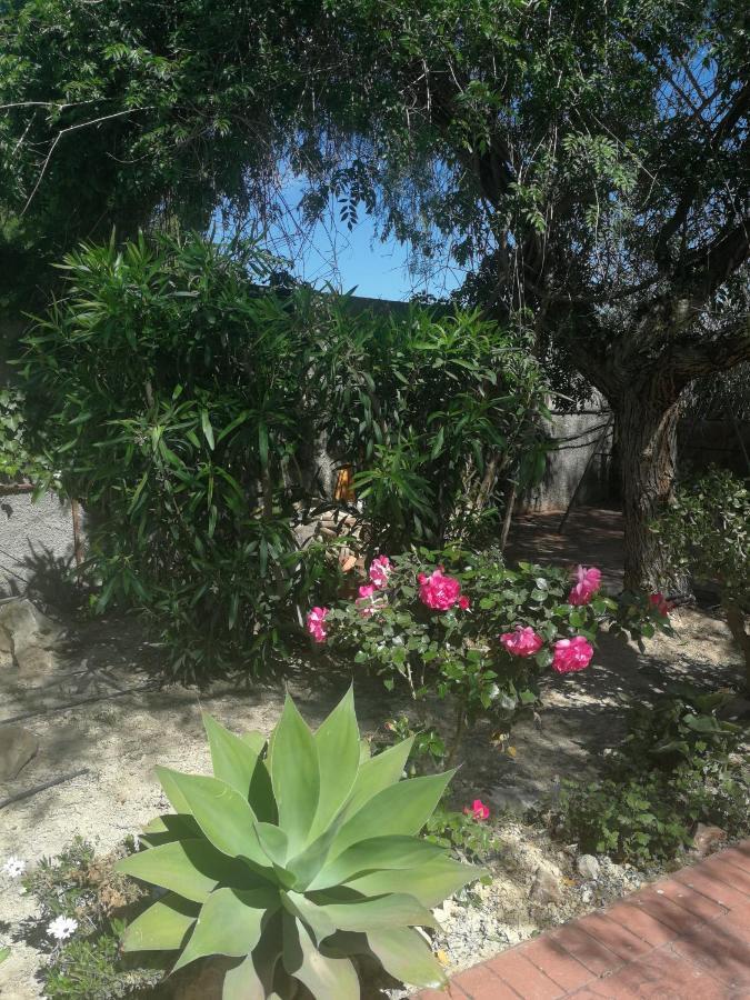 Finca San Diego, Villa Entera Para Ti Vallonga Exterior photo
